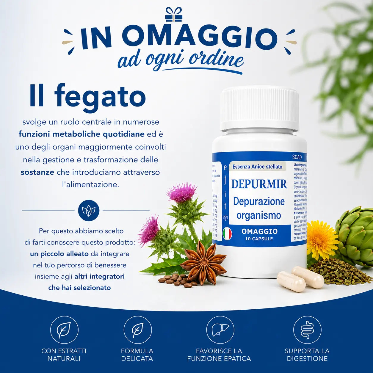 Colestmir -  Integratore Colesterolo Tripla Azione con Berberina 97%, Cardo Mariano e Coenzima Q10 efitlab